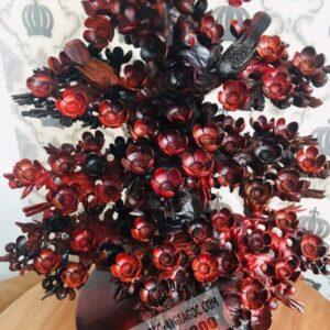 Bình Mai Gỗ Trắc Đỏ Đen 9.5 (10)