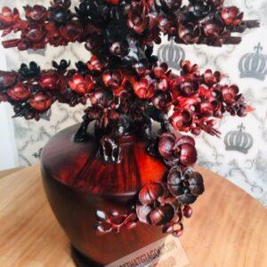 Bình Mai Gỗ Trắc Đỏ Đen 9.5 (9)