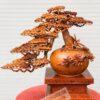 Bình Tùng Lan Bonsai Gỗ Hương Ngang 60