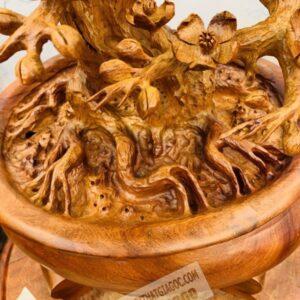 Cây Mai BonSai Gỗ Hương Ta Cực Đẹp 13.5 (11)