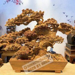Cây Tùng BonSai Gỗ Hương Ta Cực Đẹp 6 (5)