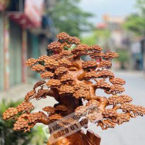 Đạt Ma Dưới Tán Tùng Gỗ Hương Ta Cao 1m6 [26,000,000] (2)