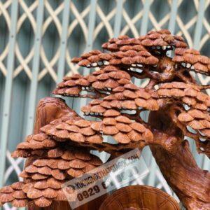 Đạt Ma Sư Tổ Dưới Gốc Tùng Gỗ Ngọc Am Cao 1m25 [28,500,000] (4)