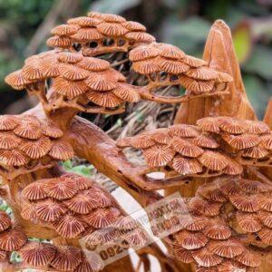 Di Lặc Ngồi Gốc Tùng Gỗ Ngọc Am Cao 67cm [16,700,000] (4)