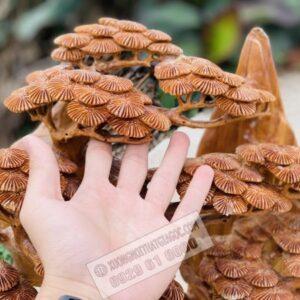 Di Lặc Ngồi Gốc Tùng Gỗ Ngọc Am Cao 67cm [16,700,000] (5)