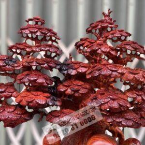 Di Lặc Ngũ Phúc Dưới Gốc Tùng Gỗ Trắc Đỏ Đen Cao 73cm [18,200,000] (3)