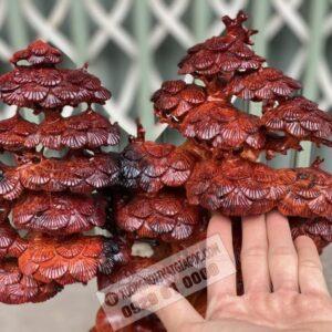 Di Lặc Ngũ Phúc Dưới Gốc Tùng Gỗ Trắc Đỏ Đen Cao 73cm [18,200,000] (4)