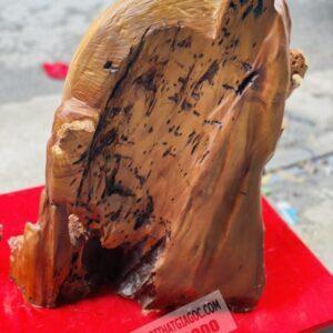 Một Lòng Hướng Phật Gỗ Xá Xị Cao 59cm [9,900,000] (9)