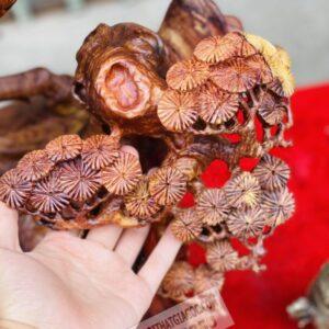 Nhất Mã Phi Thiên Gỗ Cẩm Việt Cao 79cm [14,600,000] (6)