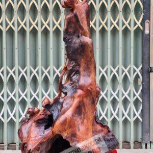 Quan Âm Đại Thế Chí Gỗ Sụn Cẩm Cao 1m27 [29,400,000] (14)