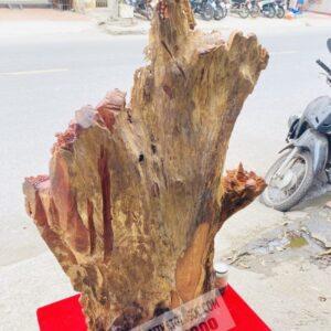 Tam Đa Dưới Gốc Tùng Gỗ Hương Ta Cao 105cm [28,300,000] (10)