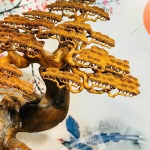 Tượng Gỗ Khổng Minh Tiên Sinh Dưới Tán Tùng [28,000,000] (4)