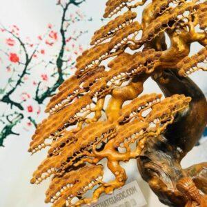 Tượng Gỗ Khổng Minh Tiên Sinh Dưới Tán Tùng [28,000,000] (5)