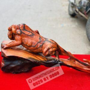 Tượng Hổ Săn Mồi Gỗ Trắc Đỏ Đen Ngang 60cm [8,600,000] (5)